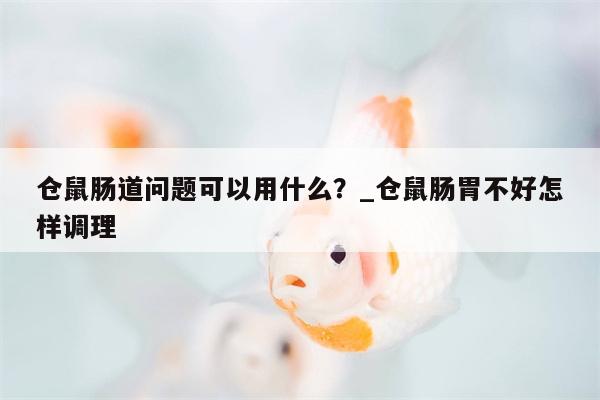 仓鼠肠道问题可以用什么？ 仓鼠肠胃不好怎样调理  第1张