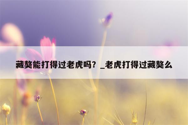 藏獒能打得过老虎吗？ 老虎打得过藏獒么  第1张