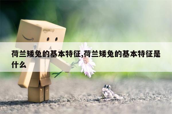 荷兰矮兔的基本特征,荷兰矮兔的基本特征是什么  第1张