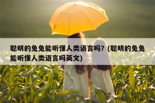 聪明的兔兔能听懂人类语言吗？(聪明的兔兔能听懂人类语言吗英文)  第1张