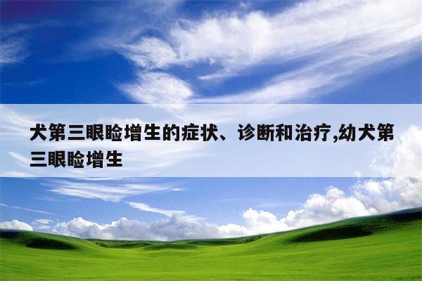 犬第三眼睑增生的症状、诊断和治疗,幼犬第三眼睑增生  第1张