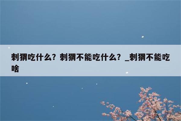 刺猬吃什么？刺猬不能吃什么？ 刺猬不能吃啥  第1张