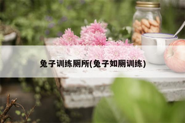 兔子训练厕所(兔子如厕训练)  第1张