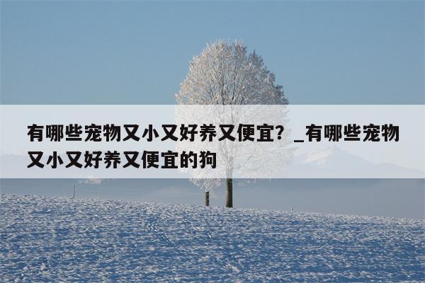 有哪些宠物又小又好养又便宜？ 有哪些宠物又小又好养又便宜的狗  第1张