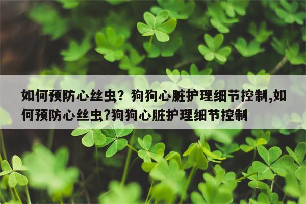 如何预防心丝虫？狗狗心脏护理细节控制,如何预防心丝虫?狗狗心脏护理细节控制  第1张