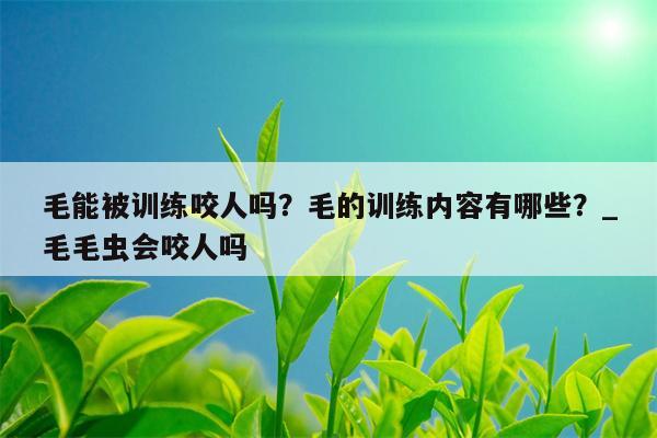 毛能被训练咬人吗？毛的训练内容有哪些？ 毛毛虫会咬人吗  第1张