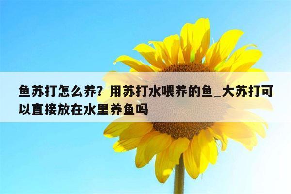 鱼苏打怎么养？用苏打水喂养的鱼 大苏打可以直接放在水里养鱼吗  第1张