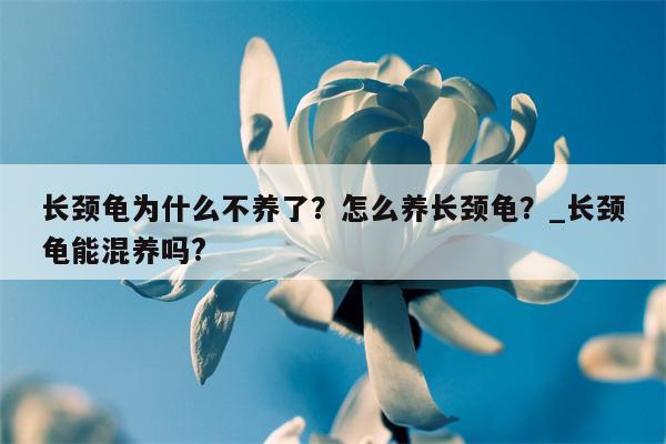 长颈龟为什么不养了？怎么养长颈龟？ 长颈龟能混养吗?  第1张