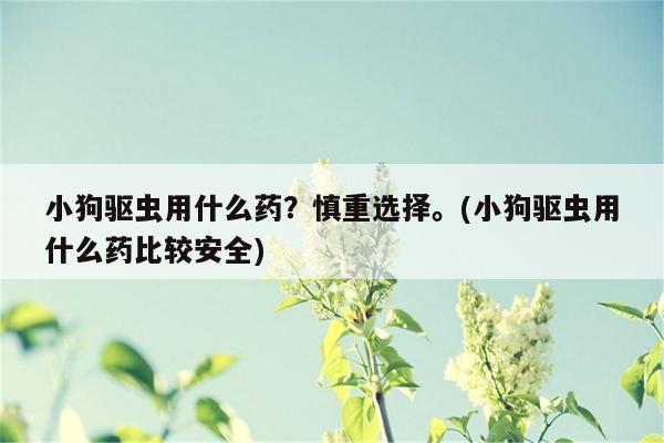 小狗驱虫用什么药？慎重选择。(小狗驱虫用什么药比较安全)  第1张