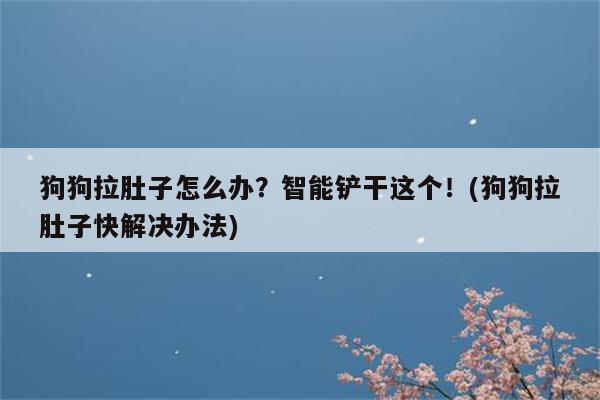 狗狗拉肚子怎么办？智能铲干这个！(狗狗拉肚子快解决办法)  第1张