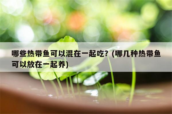 哪些热带鱼可以混在一起吃？(哪几种热带鱼可以放在一起养)  第1张