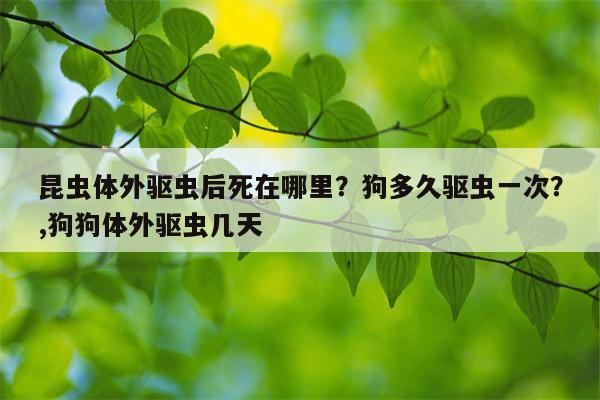 昆虫体外驱虫后死在哪里？狗多久驱虫一次？,狗狗体外驱虫几天  第1张