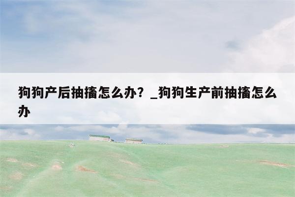 狗狗产后抽搐怎么办？ 狗狗生产前抽搐怎么办  第1张