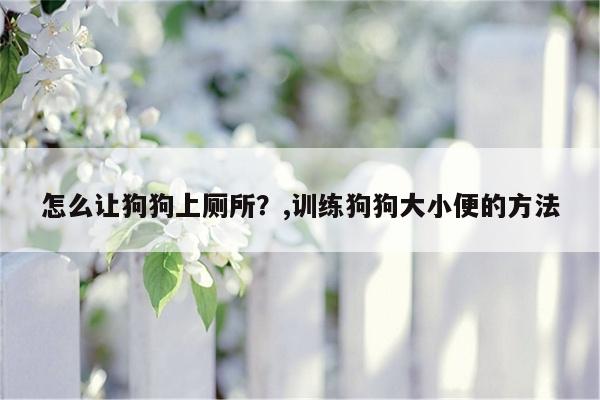 怎么让狗狗上厕所？,训练狗狗大小便的方法  第1张