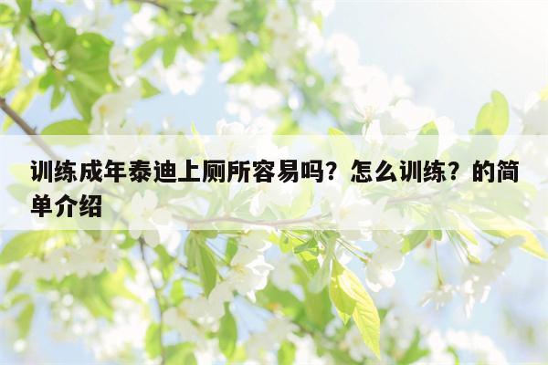 训练成年泰迪上厕所容易吗？怎么训练？的简单介绍  第1张