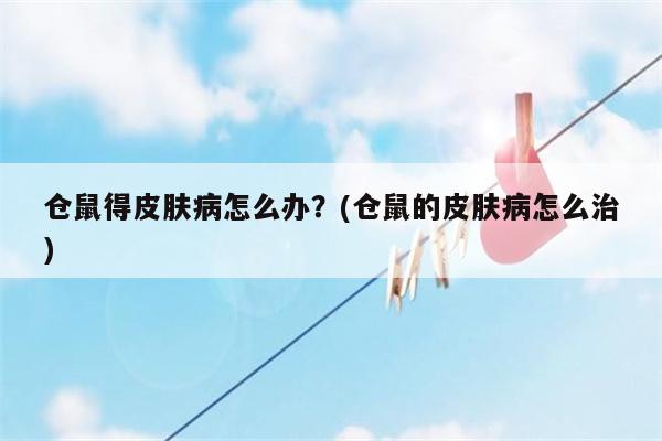 仓鼠得皮肤病怎么办？(仓鼠的皮肤病怎么治)  第1张