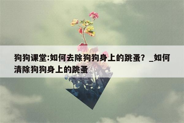 狗狗课堂:如何去除狗狗身上的跳蚤？ 如何清除狗狗身上的跳蚤  第1张