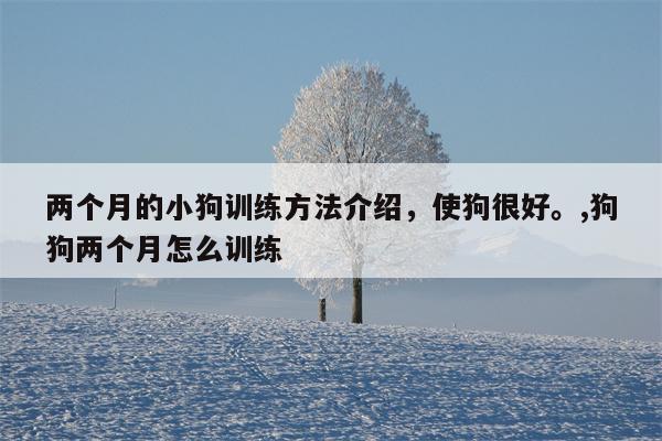 两个月的小狗训练方法介绍，使狗很好。,狗狗两个月怎么训练  第1张