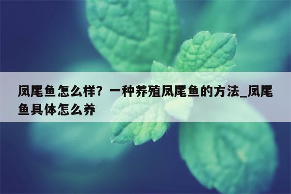 凤尾鱼怎么样？一种养殖凤尾鱼的方法 凤尾鱼具体怎么养  第1张