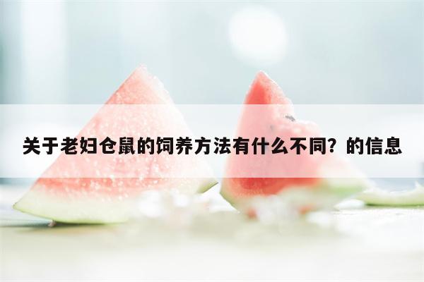 关于老妇仓鼠的饲养方法有什么不同？的信息  第1张