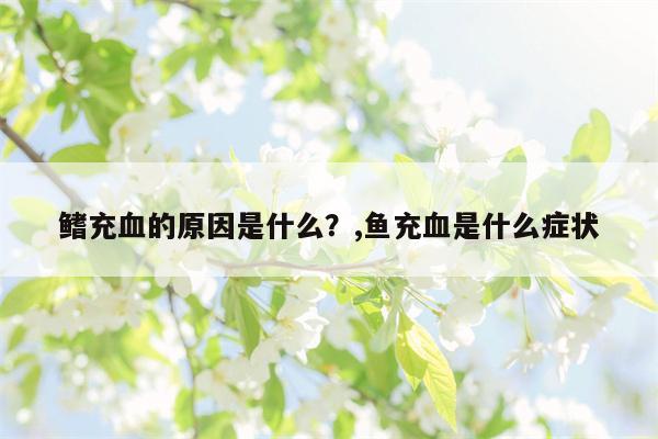 鳍充血的原因是什么？,鱼充血是什么症状  第1张