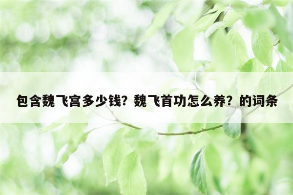 包含魏飞宫多少钱？魏飞首功怎么养？的词条  第1张