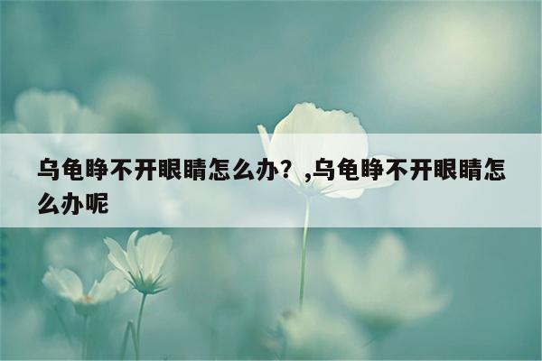 乌龟睁不开眼睛怎么办？,乌龟睁不开眼睛怎么办呢  第1张