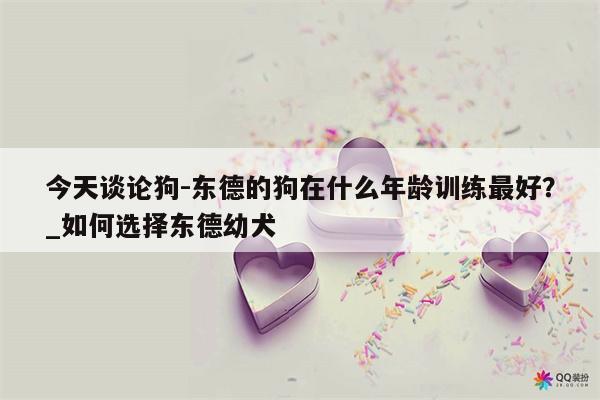 今天谈论狗 东德的狗在什么年龄训练最好？ 如何选择东德幼犬  第1张