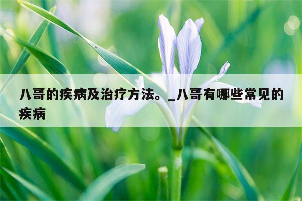 八哥的疾病及治疗方法。 八哥有哪些常见的疾病  第1张