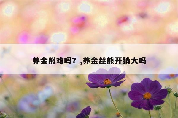 养金熊难吗？,养金丝熊开销大吗  第1张