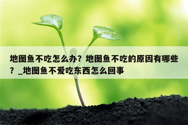 地图鱼不吃怎么办？地图鱼不吃的原因有哪些？ 地图鱼不爱吃东西怎么回事  第1张