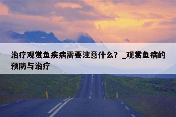 治疗观赏鱼疾病需要注意什么？ 观赏鱼病的预防与治疗  第1张