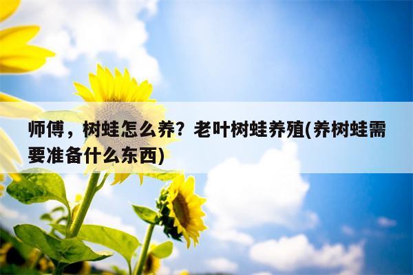 师傅，树蛙怎么养？老叶树蛙养殖(养树蛙需要准备什么东西)  第1张