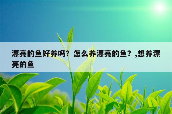 漂亮的鱼好养吗？怎么养漂亮的鱼？,想养漂亮的鱼  第1张