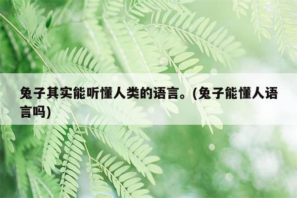 兔子其实能听懂人类的语言。(兔子能懂人语言吗)  第1张