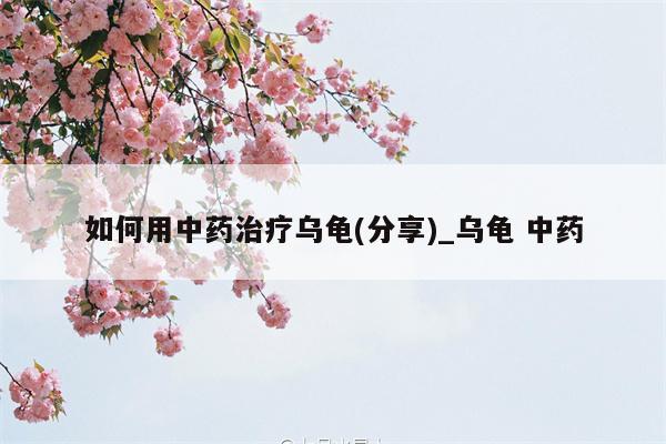 如何用中药治疗乌龟(分享) 乌龟 中药  第1张