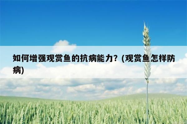 如何增强观赏鱼的抗病能力？(观赏鱼怎样防病)  第1张