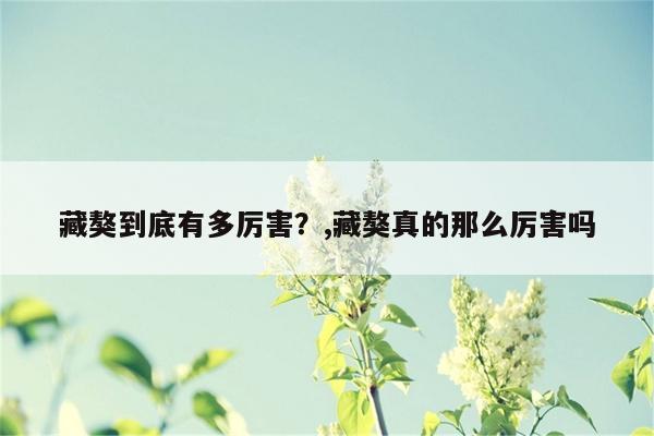 藏獒到底有多厉害？,藏獒真的那么厉害吗  第1张