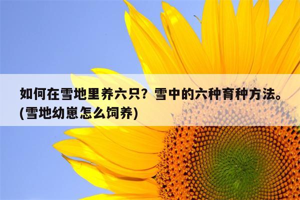 如何在雪地里养六只？雪中的六种育种方法。(雪地幼崽怎么饲养)  第1张