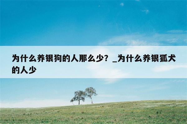 为什么养银狗的人那么少？ 为什么养银狐犬的人少  第1张