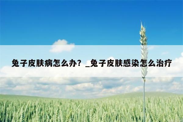 兔子皮肤病怎么办？ 兔子皮肤感染怎么治疗  第1张