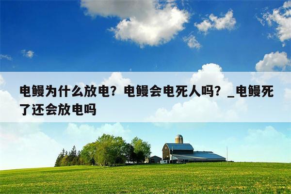 电鳗为什么放电？电鳗会电死人吗？ 电鳗死了还会放电吗  第1张