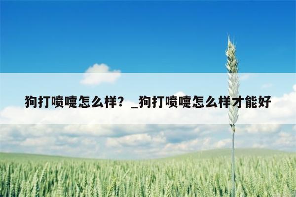 狗打喷嚏怎么样？ 狗打喷嚏怎么样才能好  第1张