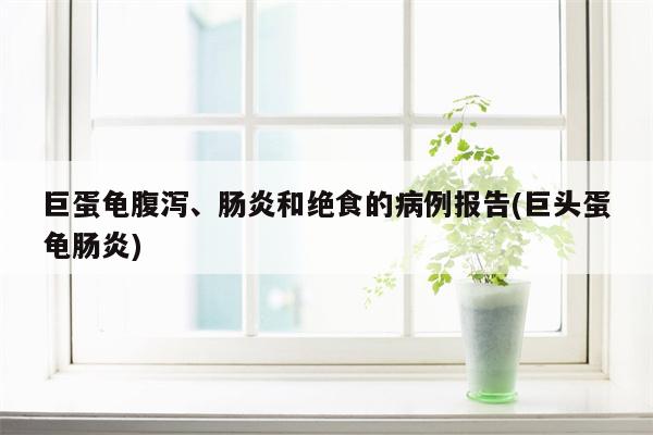 巨蛋龟腹泻、肠炎和绝食的病例报告(巨头蛋龟肠炎)  第1张