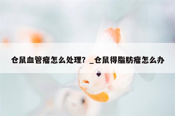 仓鼠血管瘤怎么处理？ 仓鼠得脂肪瘤怎么办  第1张