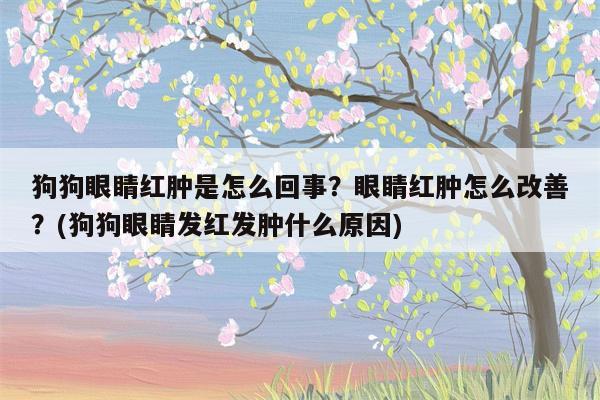 狗狗眼睛红肿是怎么回事？眼睛红肿怎么改善？(狗狗眼睛发红发肿什么原因)  第1张