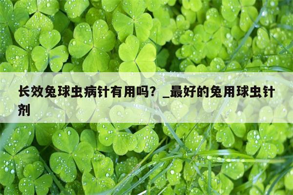 长效兔球虫病针有用吗？ 最好的兔用球虫针剂  第1张