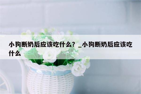 小狗断奶后应该吃什么？ 小狗断奶后应该吃什么  第1张