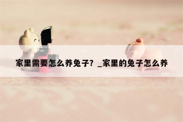 家里需要怎么养兔子？ 家里的兔子怎么养  第1张