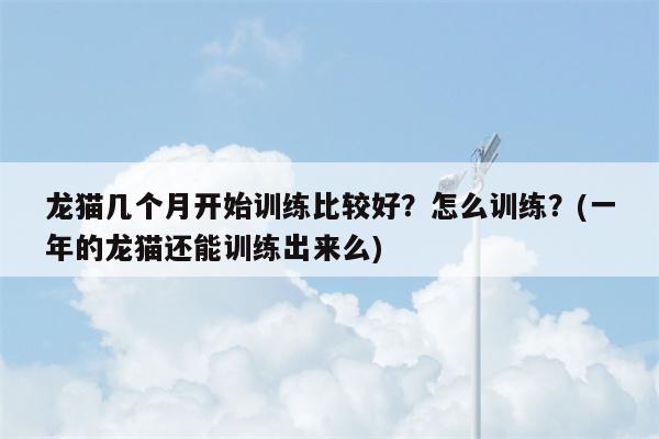 龙猫几个月开始训练比较好？怎么训练？(一年的龙猫还能训练出来么)  第1张